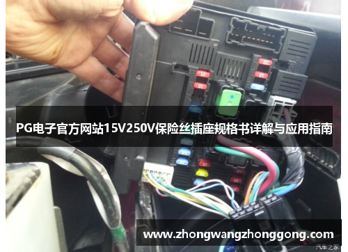 PG电子官方网站15V250V保险丝插座规格书详解与应用指南