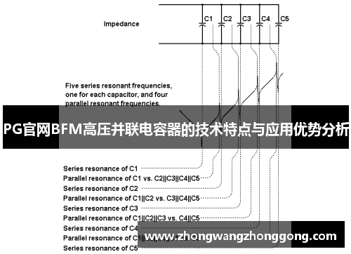 PG官网BFM高压并联电容器的技术特点与应用优势分析